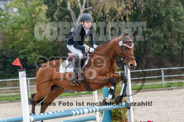 Goldene Schärpe 2020 - Pferde