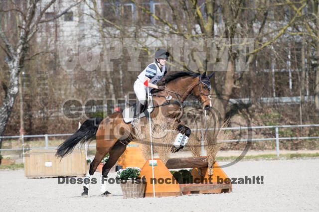 Eventing Langenfeld 2018
