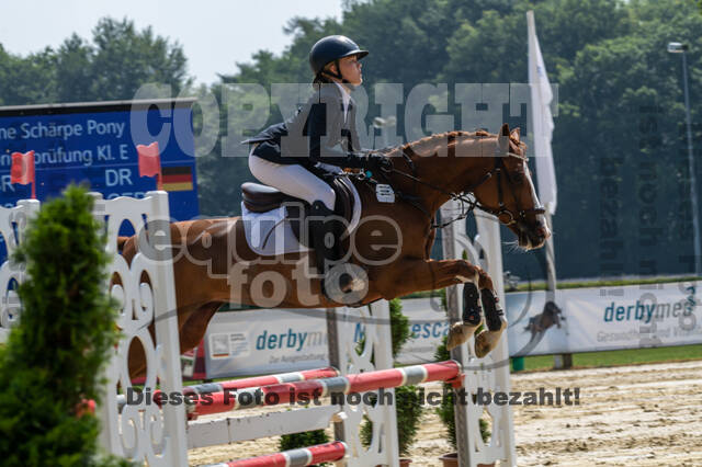 Goldene Schärpe 2021 - Ponys