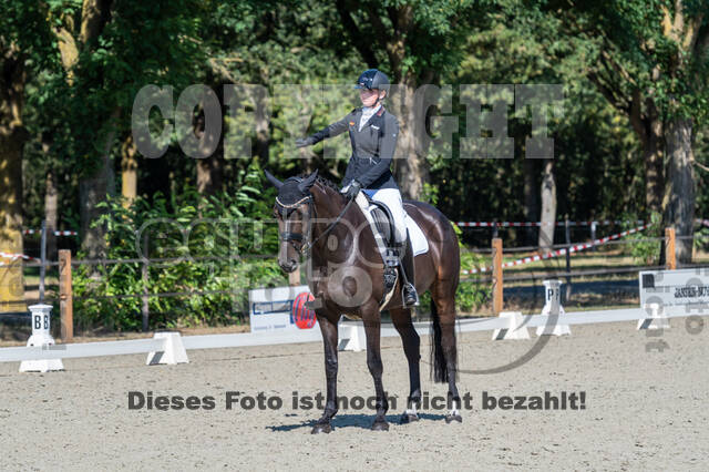 Kronenberg - De Peelbergen (August 2020)