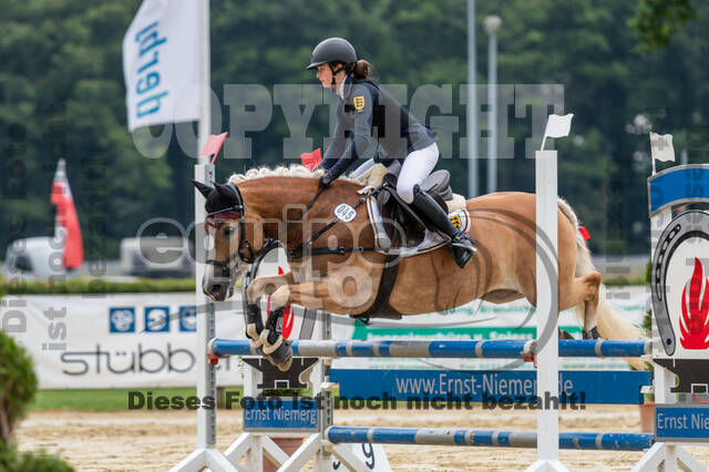 Goldene Schärpe 2021 - Ponys