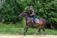 Hunter Geländetraining 10.07.2021 (Sonsbeck)