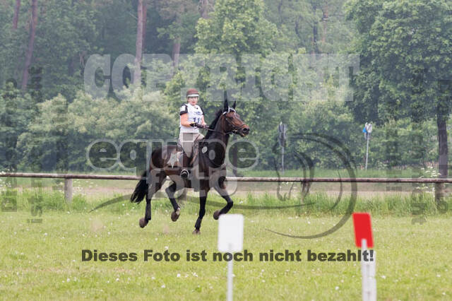 Vielseitigkeitsturnier ZRFV von Lützow Hamminkeln