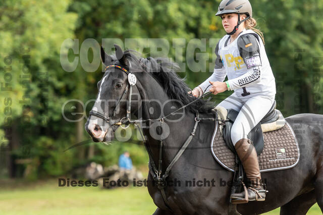 Vielseitigkeit RSV Wesel Obrighoven (26.+27.09.2020)