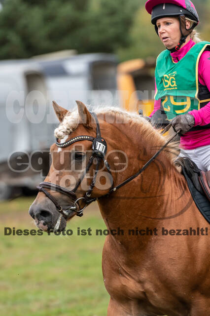 Vielseitigkeit RSV Wesel Obrighoven (26.+27.09.2020)