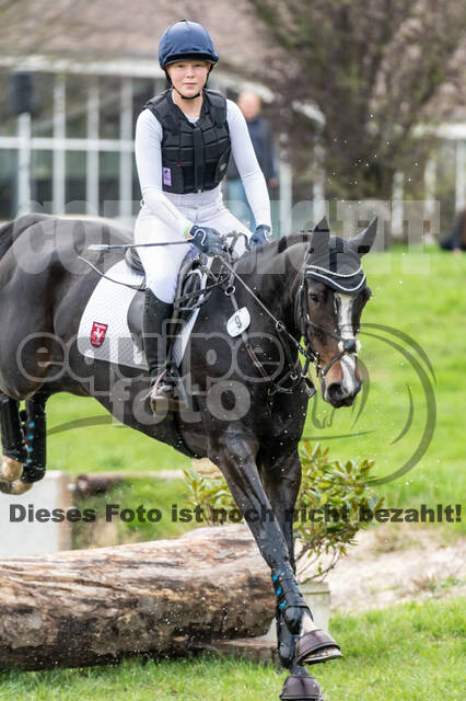 Goldene Schärpe 2020 - Pferde