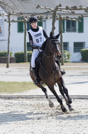 Eventing Langenfeld 2018