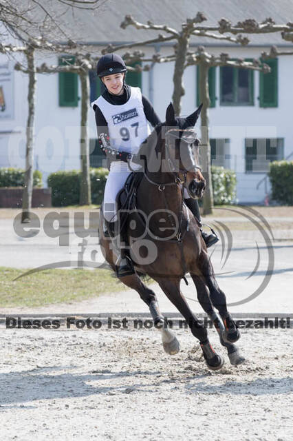 Eventing Langenfeld 2018