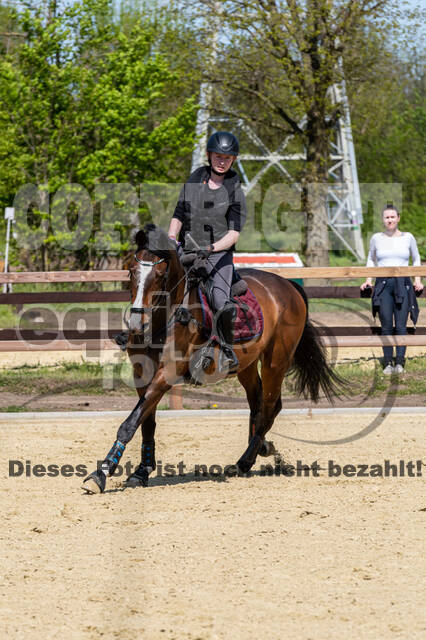 Geländetraining ZRFV Hamminkeln (09.05.2021)