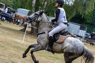 Late-Entry Vielseitigkeit Hamminkeln/Wesel (01.+02.08.2020)