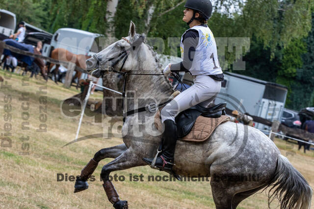 Late-Entry Vielseitigkeit Hamminkeln/Wesel (01.+02.08.2020)