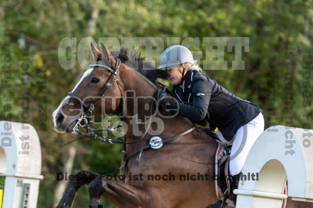 RFV Dinslaken-Hiesfeld (Herbstturnier)