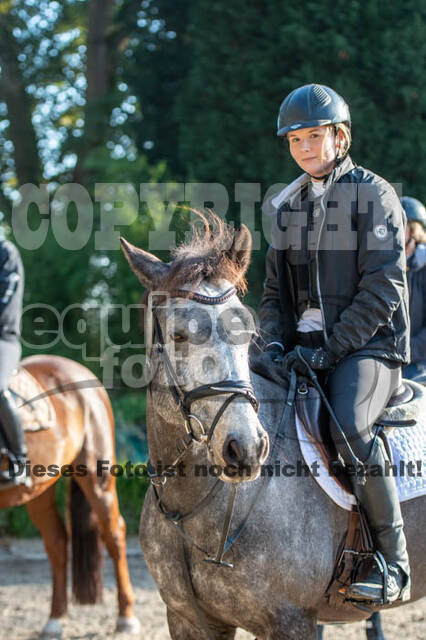 Vielseitigkeitslehrgang mit Jürg Kurbel (9.+10.11.2019)