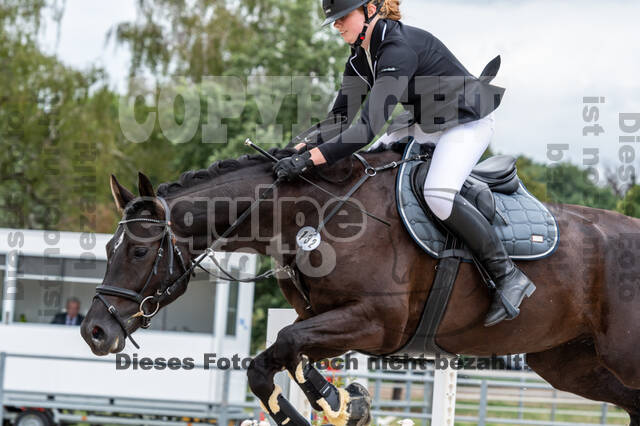 Late-Entry-Vielseitigkeit Langenfeld (06.+07.07.2020)