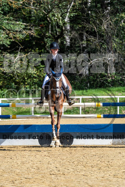 RFV Dinslaken-Hiesfeld (Herbstturnier)