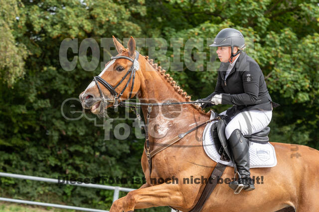 Late-Entry-Vielseitigkeit Langenfeld (06.+07.07.2020)