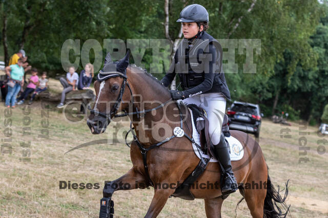 Late-Entry Vielseitigkeit Hamminkeln/Wesel (01.+02.08.2020)