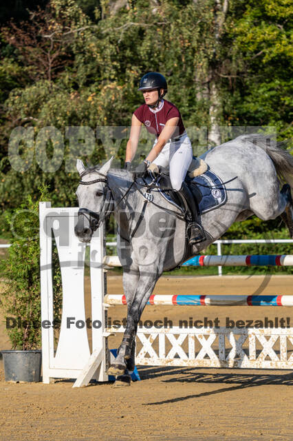 RFV Dinslaken-Hiesfeld (Herbstturnier)
