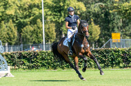 Kronenberg - De Peelbergen (August 2020)