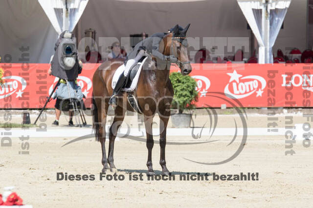 FEI European Championship Eventing 2017