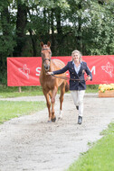 FEI European Championship Eventing 2017
