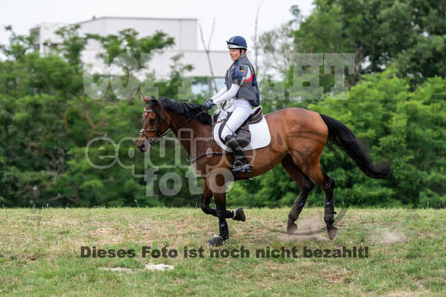 Late-Entry-Vielseitigkeit Langenfeld (11.+13./14.06.2020)