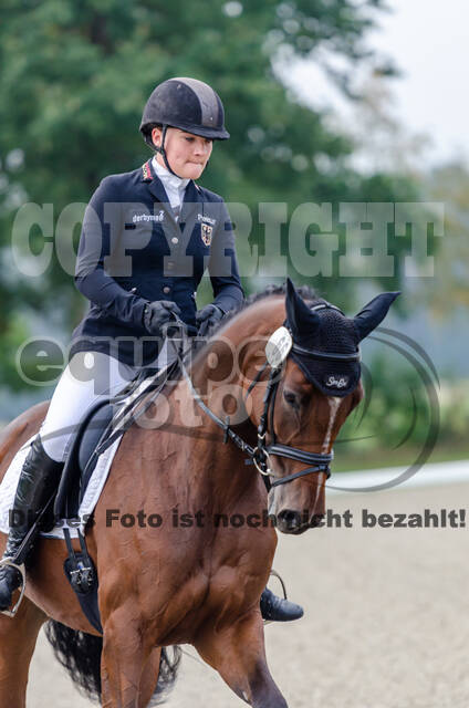 Deutsche Meisterschaft Vielseitigkeit (Luhmühlen)