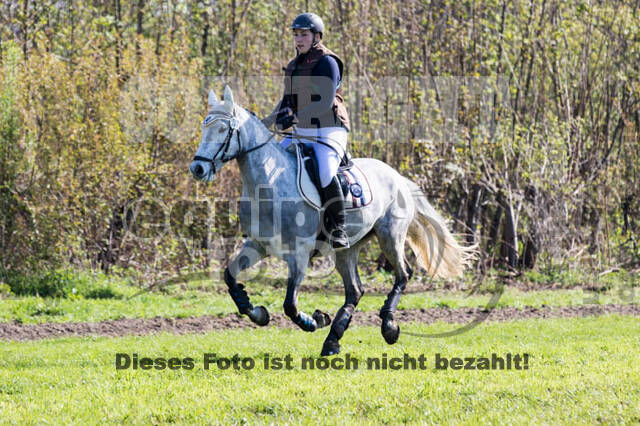 Vielseitigkeitsturnier RV Lippe-Bruch-Gahlen