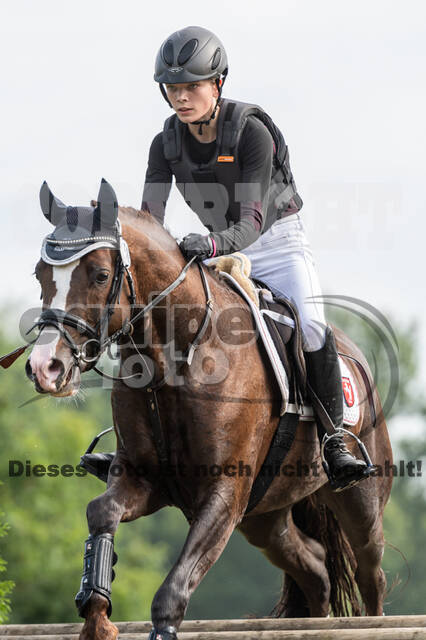 Goldene Schärpe 2021 - Ponys