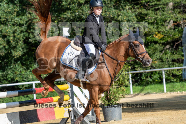 RFV Dinslaken-Hiesfeld (Herbstturnier)