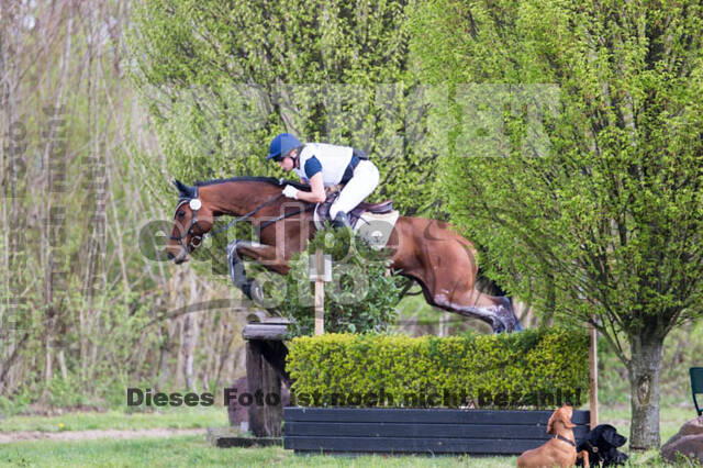 Vielseitigkeitsturnier RV Lippe-Bruch-Gahlen