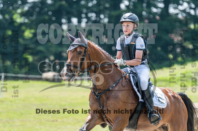 Goldene Schärpe 2021 - Ponys