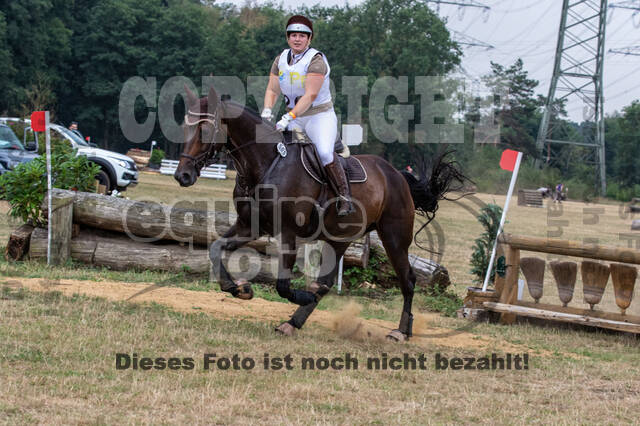 Late-Entry Vielseitigkeit Hamminkeln/Wesel (01.+02.08.2020)