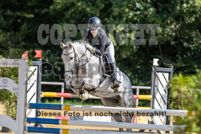 RFV Dinslaken-Hiesfeld (Herbstturnier)
