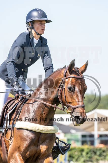 Kronenberg - De Peelbergen (August 2020)