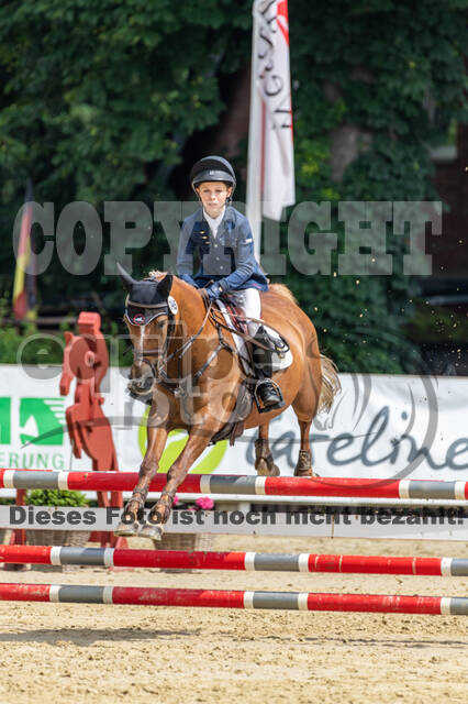 Goldene Schärpe 2021 - Ponys