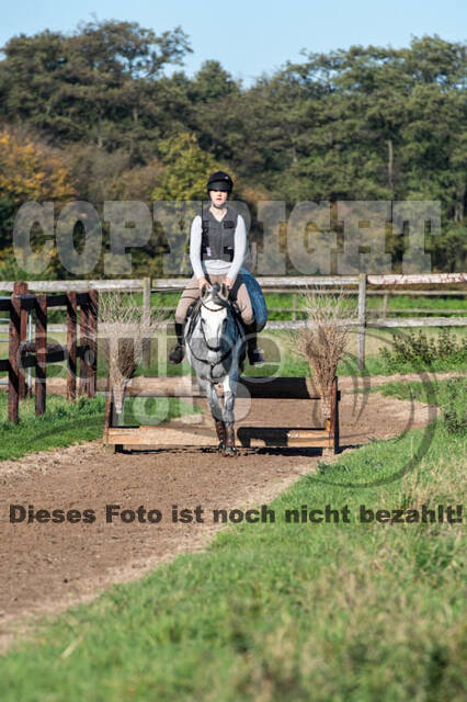 Vielseitigkeitslehrgang mit Jürg Kurbel (9.+10.11.2019)