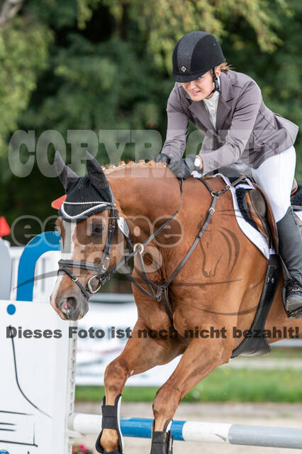 Late-Entry-Vielseitigkeit Langenfeld (06.+07.07.2020)