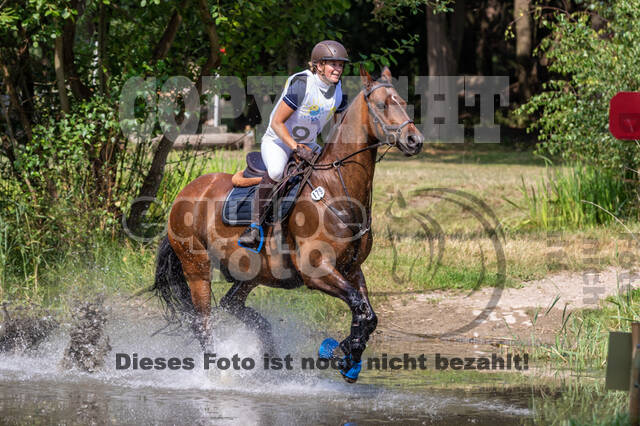 Late-Entry Vielseitigkeit Hamminkeln/Wesel (01.+02.08.2020)