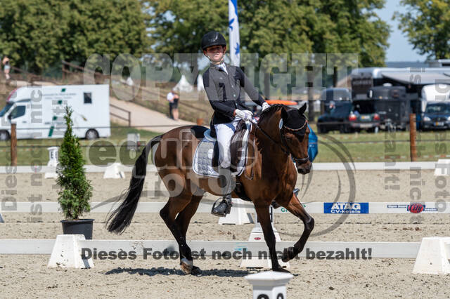 Kronenberg - De Peelbergen (August 2020)