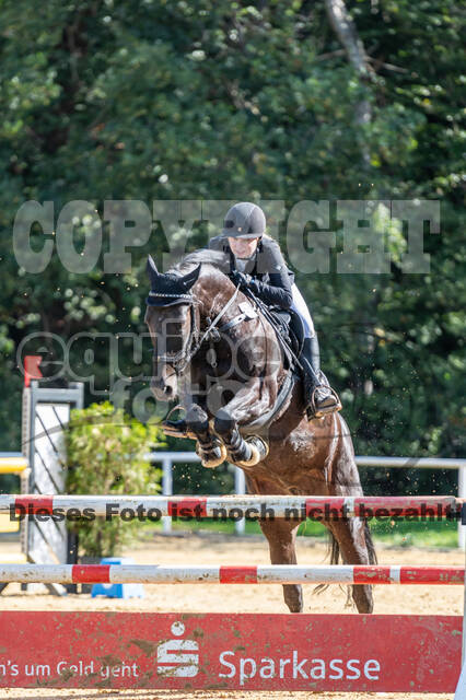 RFV Dinslaken-Hiesfeld (Herbstturnier)