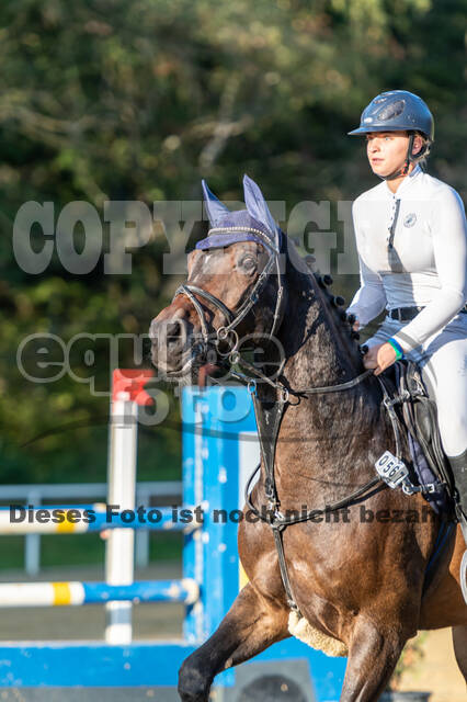 RFV Dinslaken-Hiesfeld (Herbstturnier)