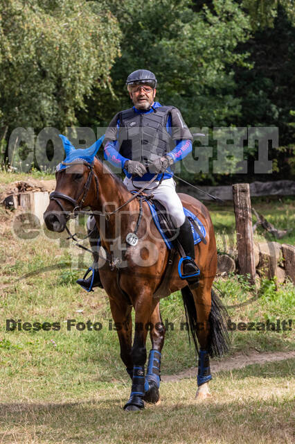 Late-Entry Vielseitigkeit Hamminkeln/Wesel (01.+02.08.2020)