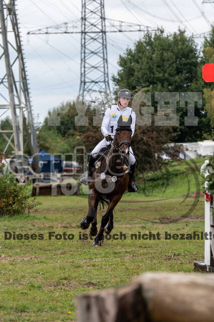 Vielseitigkeit RSV Wesel Obrighoven (26.+27.09.2020)