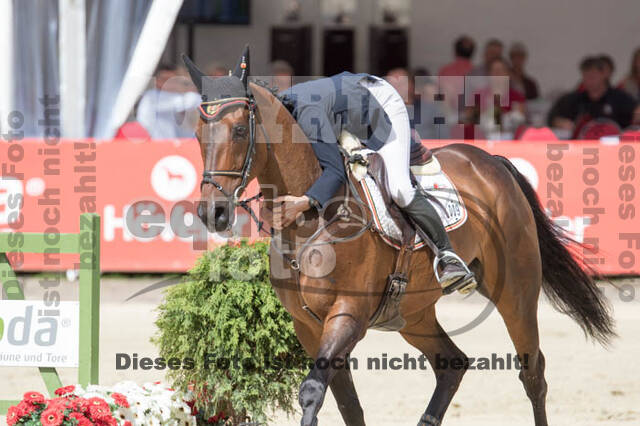 FEI European Championship Eventing 2017
