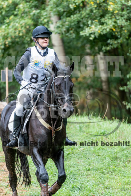 Vielseitigkeit RSV Wesel Obrighoven (26.+27.09.2020)