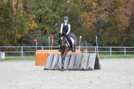 IGV Lehrgang der Sieger der Cups mit Frank Ostholt