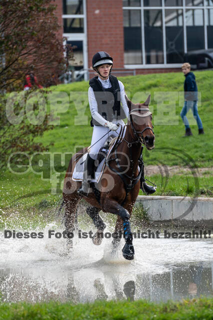 Goldene Schärpe 2020 - Pferde