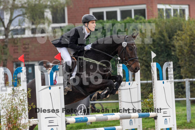 Goldene Schärpe 2020 - Pferde