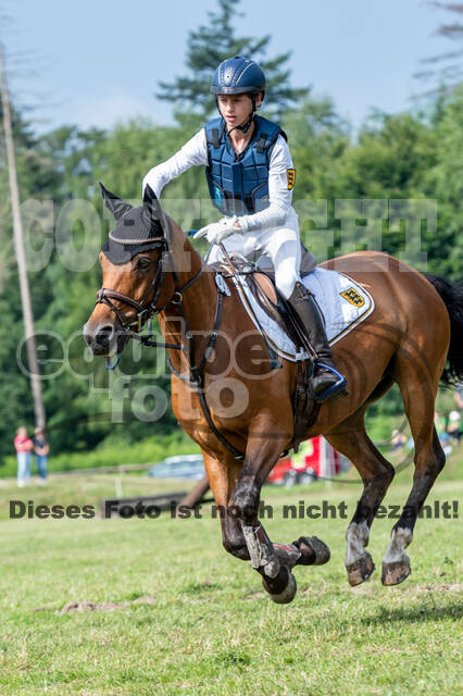 Goldene Schärpe 2021 - Ponys